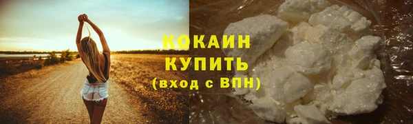 трава Архангельск