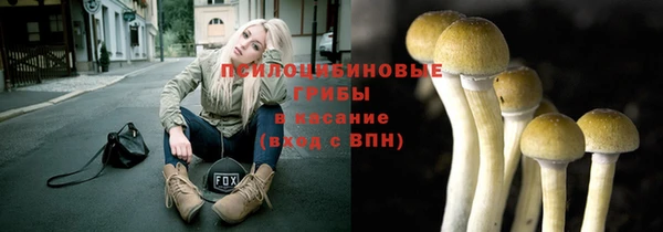 мдпв Магадан