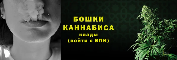 крисы Нижний Тагил
