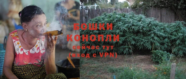 крисы Нижний Тагил