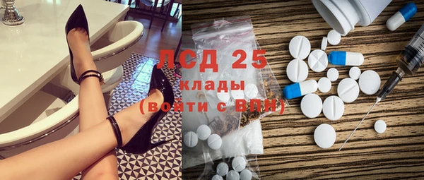 крисы Нижний Тагил