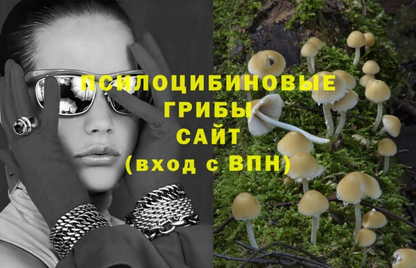 крисы Нижний Тагил