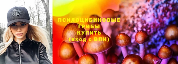 не бодяженный Магас